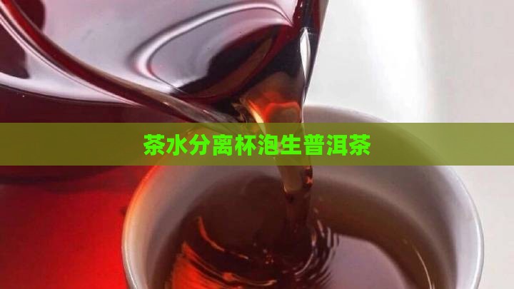 茶水分离杯泡生普洱茶
