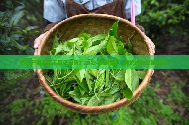 橘红普洱茶是代用茶吗