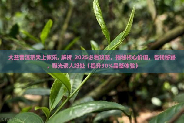 大益普洱茶天上攸乐