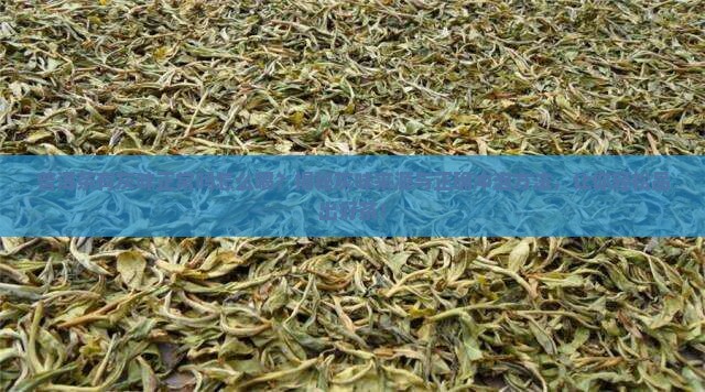 普洱茶有灰味正常吗怎么喝