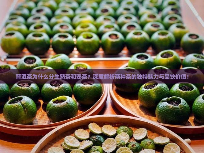 普洱茶为什么分生熟茶和熟茶