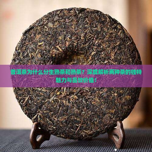普洱茶为什么分生熟茶和熟茶