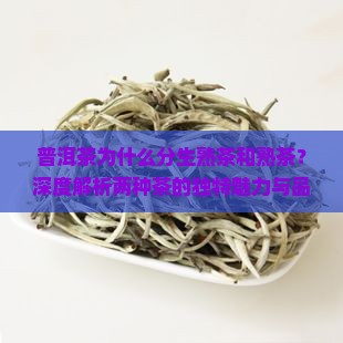 普洱茶为什么分生熟茶和熟茶