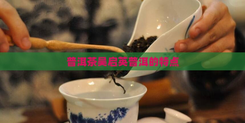 吴启英普洱茶的特点