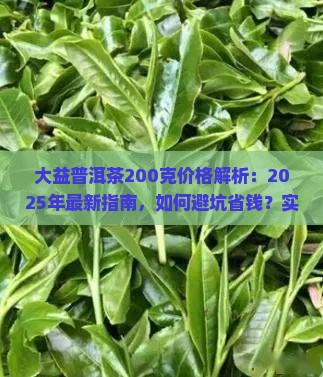 大益普洱茶200克多少钱