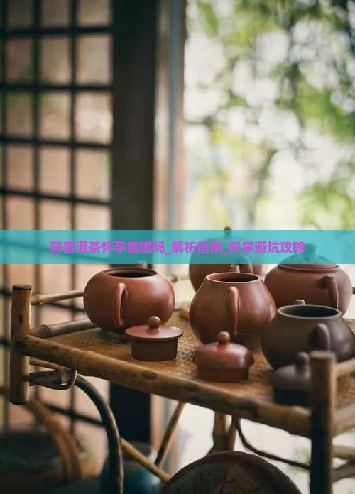 熟普洱茶怀孕能喝吗