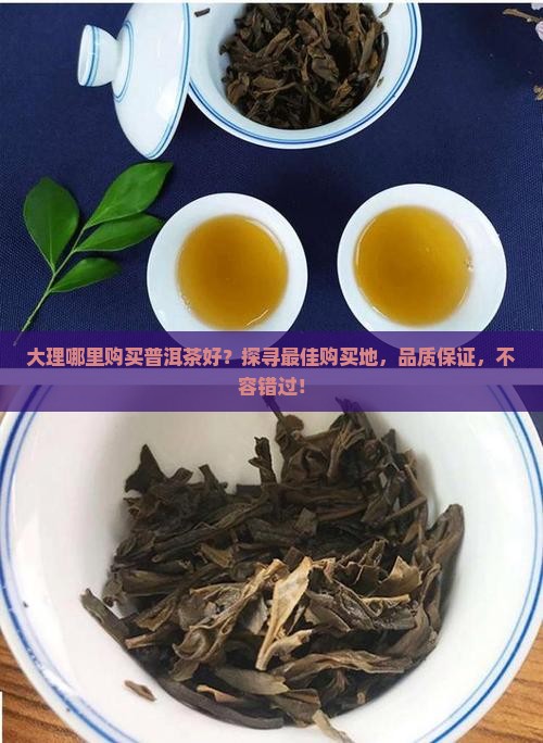 大理哪里购买普洱茶好