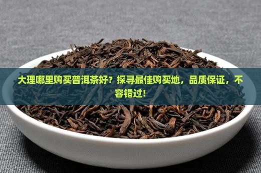 大理哪里购买普洱茶好