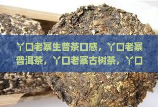 丫口老寨生普茶口感