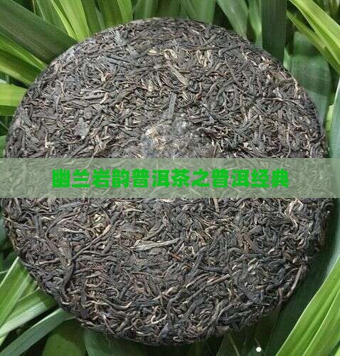 幽兰岩韵普洱茶