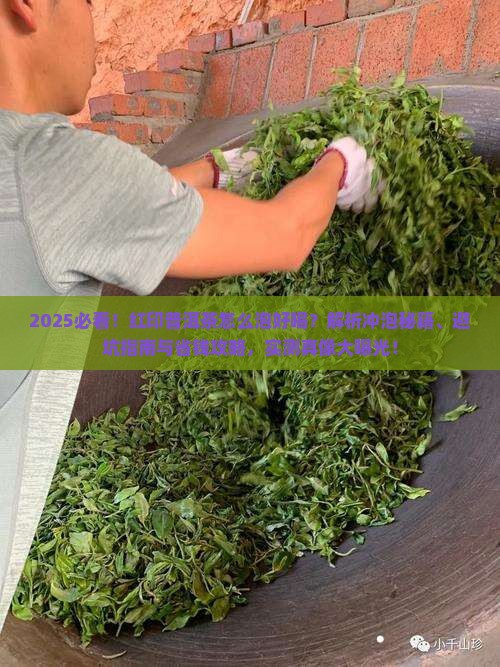 红印普洱茶怎么泡好喝