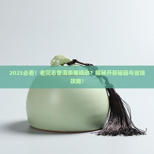 老同志普洱茶难撬动