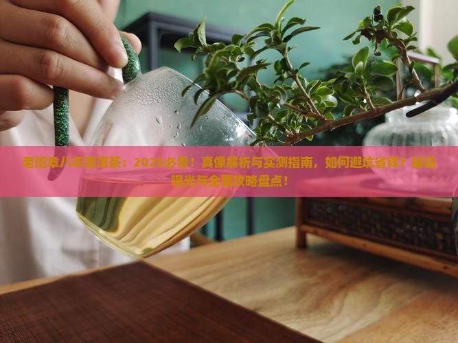 老班章八年普洱茶