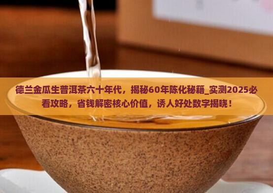 德兰金瓜生普洱茶六十年代