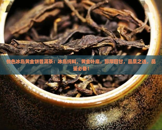 悦色冰岛黄金饼普洱茶