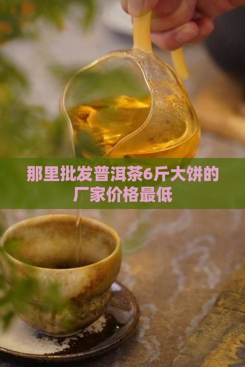 那里批发普洱茶6斤大饼的