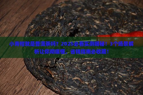 小青柑就是普洱茶吗
