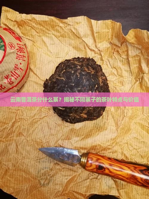 云南普洱茶分什么寨