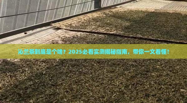 沁兰茶是什么茶