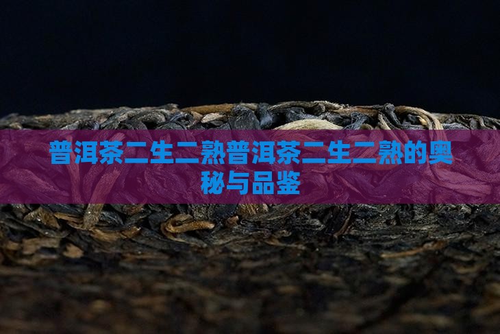 普洱茶二生二熟
