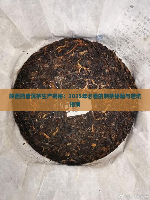 陕西熟普洱茶生产