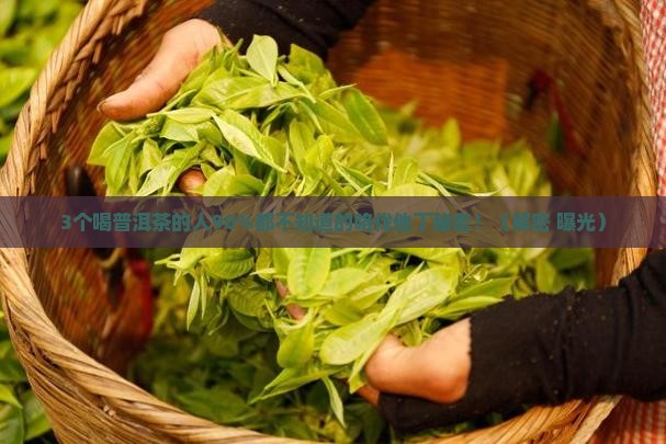 普洱茶中的咯伐他丁