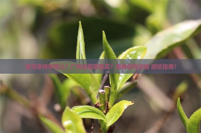 普洱茶饼储存纸箱广州有卖吗