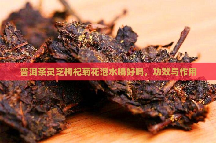 普洱茶灵芝枸杞菊花泡水喝