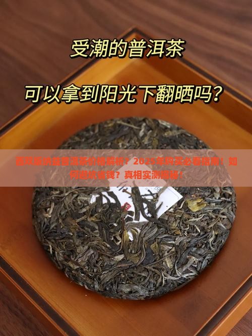 西双版纳益普洱茶的价格