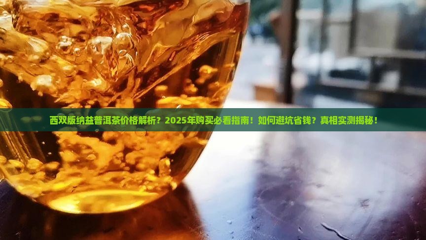 西双版纳益普洱茶的价格