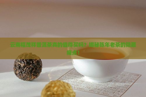 云南福茂祥普洱茶