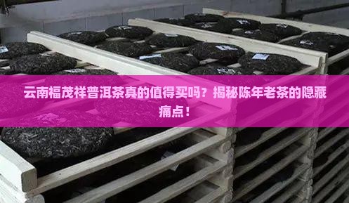 云南福茂祥普洱茶