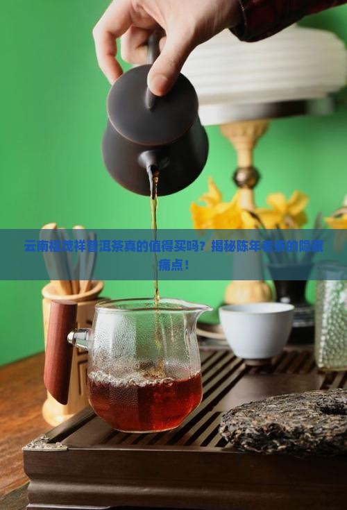 云南福茂祥普洱茶