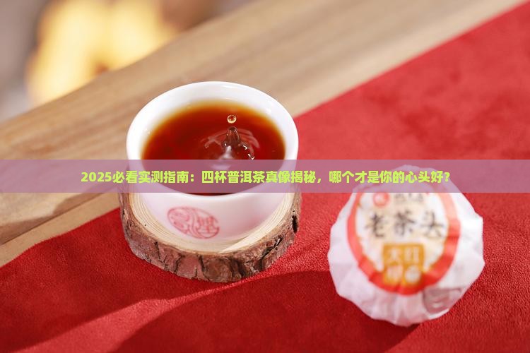 四杯普洱茶哪个好喝点的