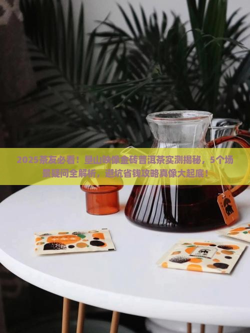 垦山映像金砖普洱茶