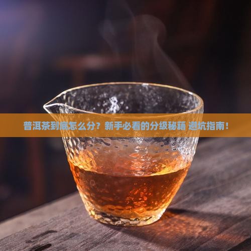 普洱茶分级评述