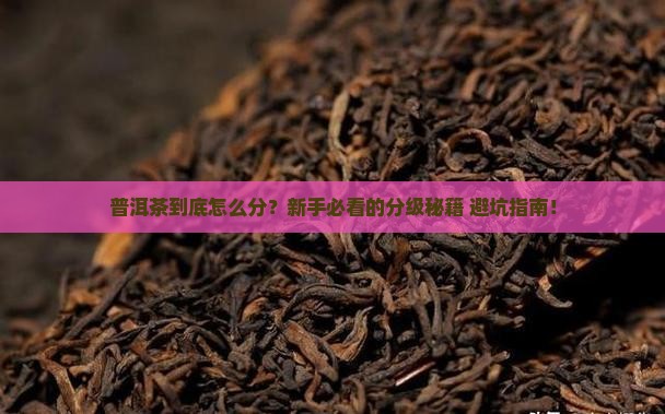 普洱茶分级评述