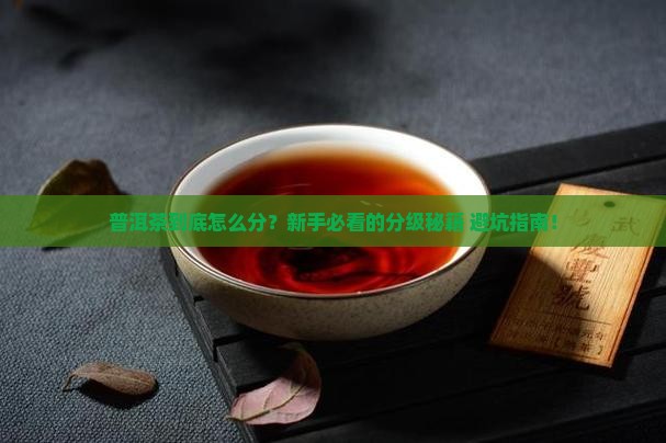 普洱茶分级评述