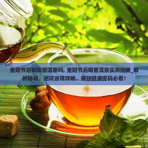 重阳节后能喝普洱茶吗
