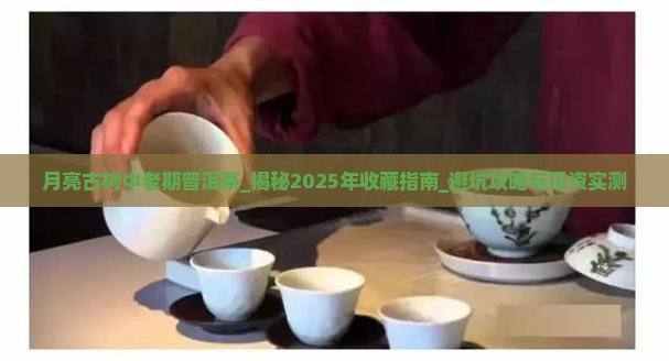 月亮古树中老期普洱茶
