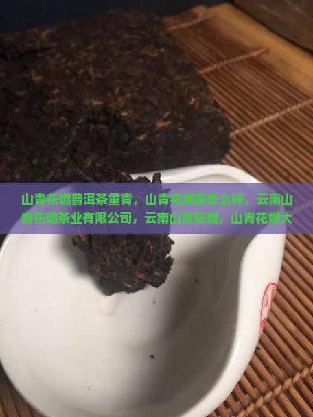 山青花燃普洱茶重青