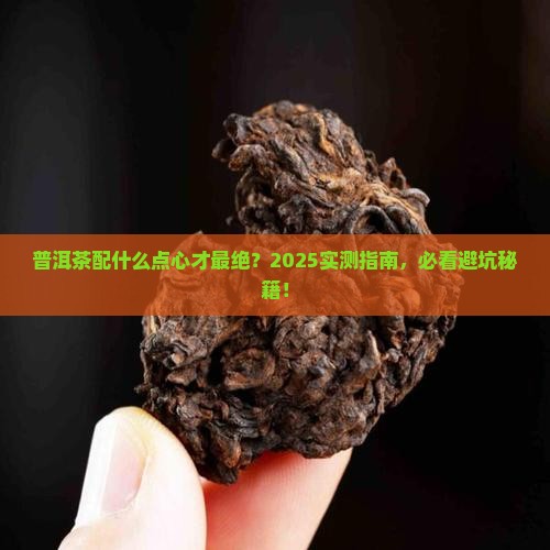 普洱茶搭配茶点