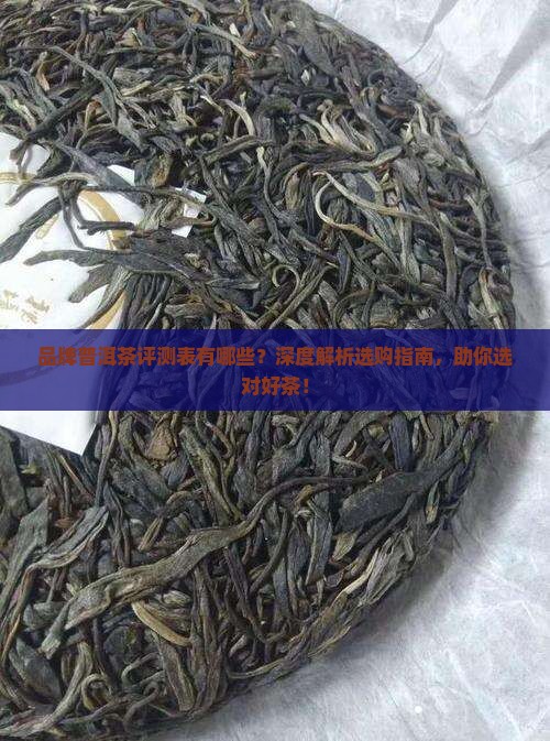 品牌普洱茶评测表有哪些