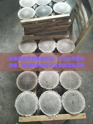 云南普洱茶节最新消息