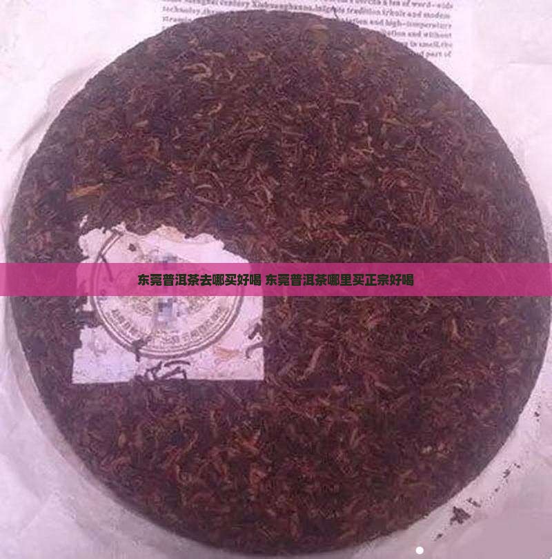 东莞普洱茶去哪买好喝
