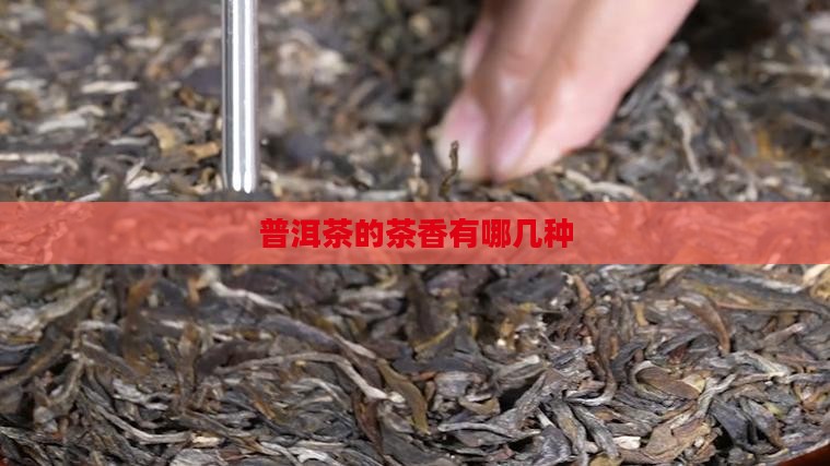 普洱茶的茶香有哪几种