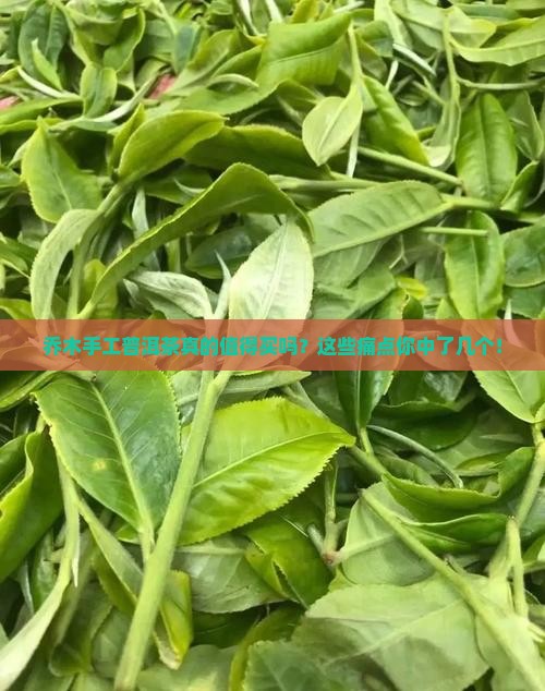 乔木手工普洱茶推荐