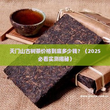 天门山古树茶价格