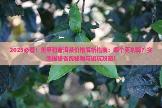 美甲和普洱茶价格比较一样