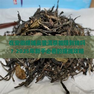 在安徽摆摊卖普洱茶怎么样